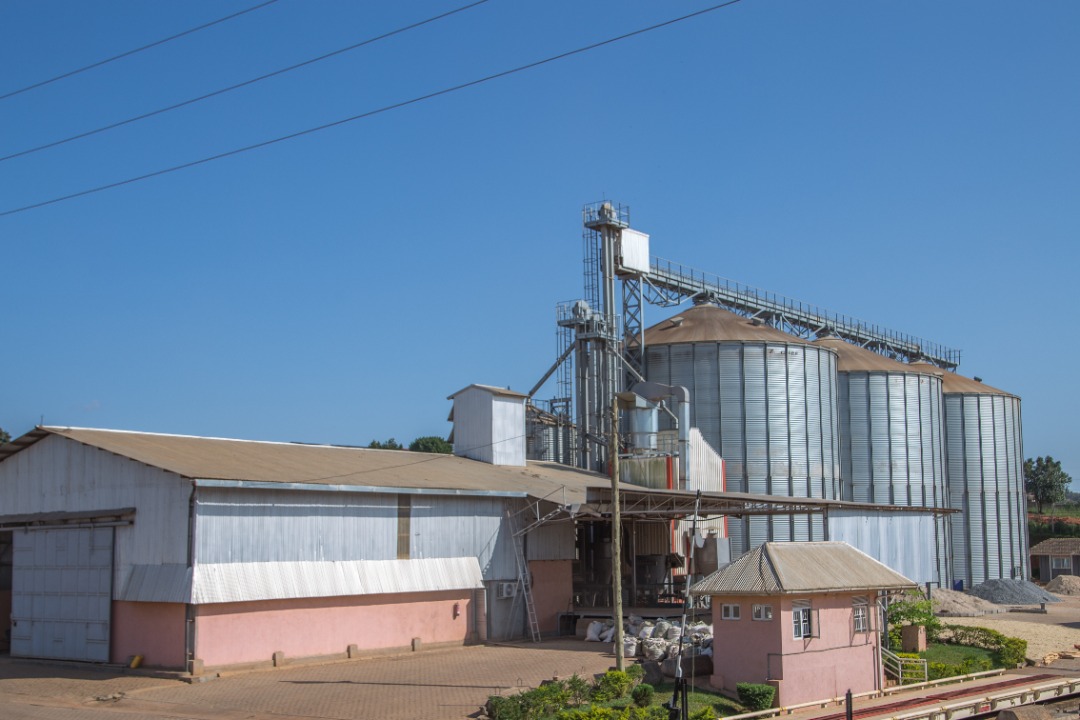 WhatsApp Image 2021-04-23 at 1.01.15 PM.jpeg